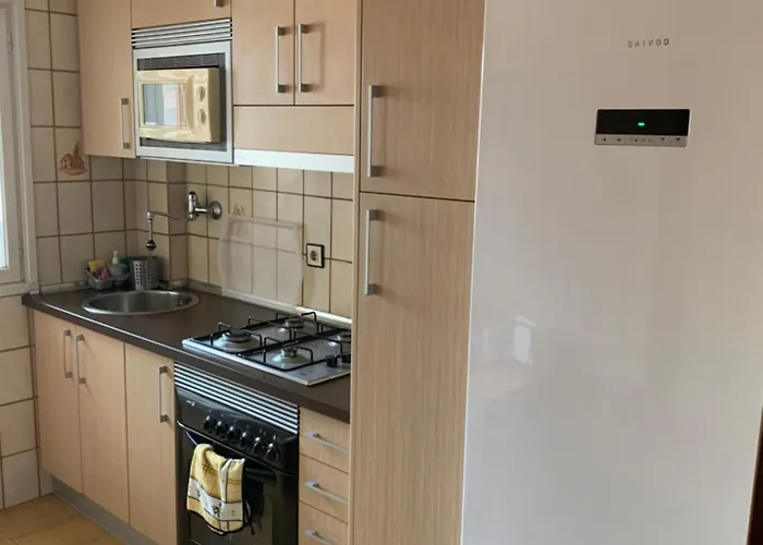 Piso Centro Estacion De Autobuses-tren Con Garaje Apartman